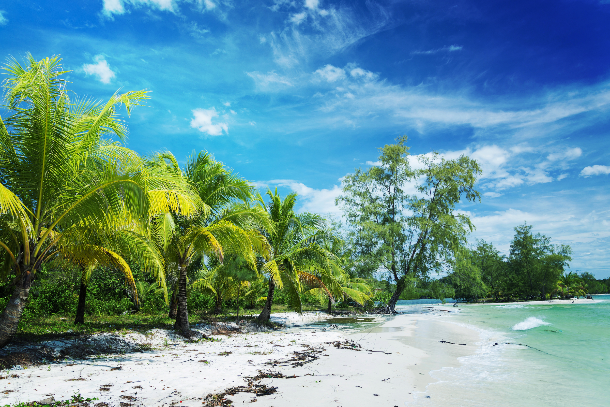 koh chen (3).webp